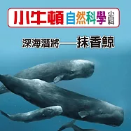 小牛頓自然科學小百科：深海潛將--抹香鯨 (有聲書)