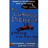 The Curious Incident of the Dog in the Night-time