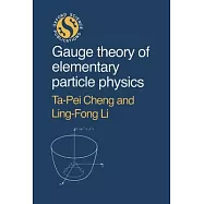 Gauge Theory of Elementary Particle Physics