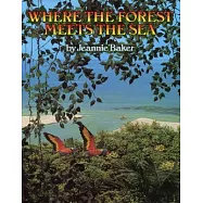 Where the Forest Meets the Sea