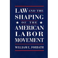 Law and the Shaping of the American Labor Movement