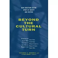 Beyond the Cultural Turn: New Directions in the Study of Society and Culture