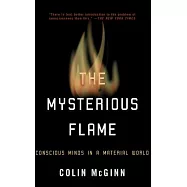 The Mysterious Flame: Conscious Minds in a Material World