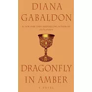 Dragonfly in Amber
