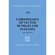 Cohomology of Vector Bundles and Syzygies