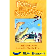 Follow the Swallow