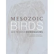 Mesozoic Birds: Above the Heads of Dinosaurs