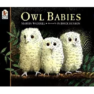 Owl Babies