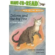 Dolores and the Big Fire: Dolores and the Big Fire