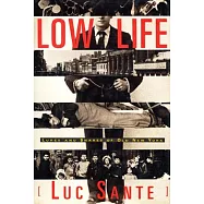 Low Life: Lures and Snares of Old New York