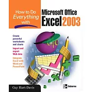 How to Do Everything With Microsoft Office Excel 2003