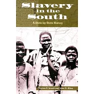 Slavery in the South: A State-By-State History