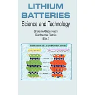 Lithium Batteries: Science and Technology