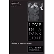 Love in a Dark Time: And Other Explorations of Gay Lives and Literature