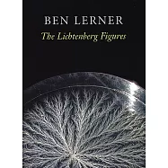 The Lichtenberg Figures