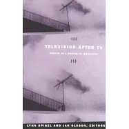 Television After TV
