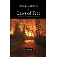 Laws of Fear: Beyond the Precautionary Principle