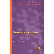 Phenomenology ”Wide Open”: After The French Debate