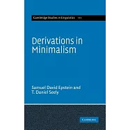 Derivations in Minimalism