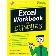 Excel Workbook for Dummies