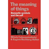 The Meaning of Things: Domestic Symbols and the Self