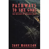 Pathways to the Gods: The Mystery of the Andes Lines