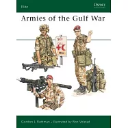 Armies of the Gulf War
