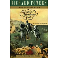 Operation Wandering Soul