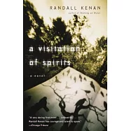 A Visitation of Spirits: A Novel