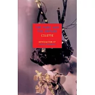 The Pure and the Impure