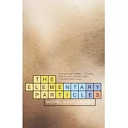 The Elementary Particles