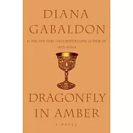 Dragonfly in Amber