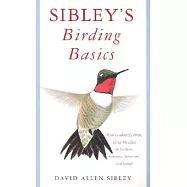 Sibley&rsquo;s Birding Basics