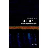 The Brain: A Very Short Introduction