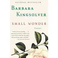 Small Wonder: Essays