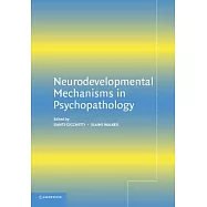 Neurodevelopmental Mechanisms in Psychopathology