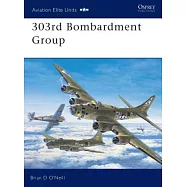 303rd Bombardment Group
