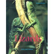Lizards