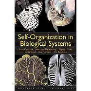 Self-Organization in Biological Systems