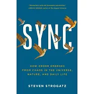 Sync: How Order Emerges from Chaos in the Universe, Nature, and Daily Life