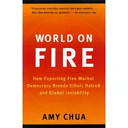 World on Fire: How Exporting Free Market Democracy Breeds Ethnic Hatred and Global Instability