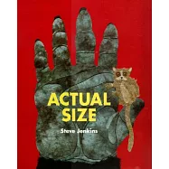 Actual Size