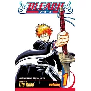 Bleach, Vol. 1