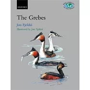 The Grebes: Podicipedidae