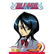 Bleach 2