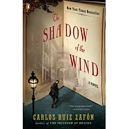 The Shadow of the Wind