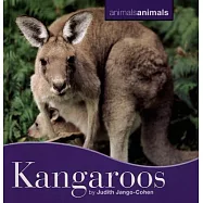 Kangaroos
