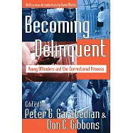 Becoming Delinquent: Young Offenders And the Correctional Process