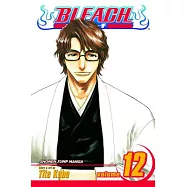 Bleach, Vol. 12: Volume 12