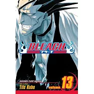 Bleach 13